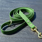 Hexa Coated webbing dog leash - Color choice