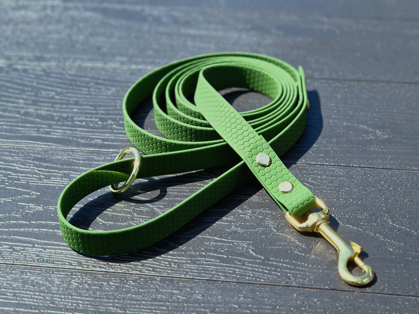 Hexa Coated webbing dog leash - Color choice