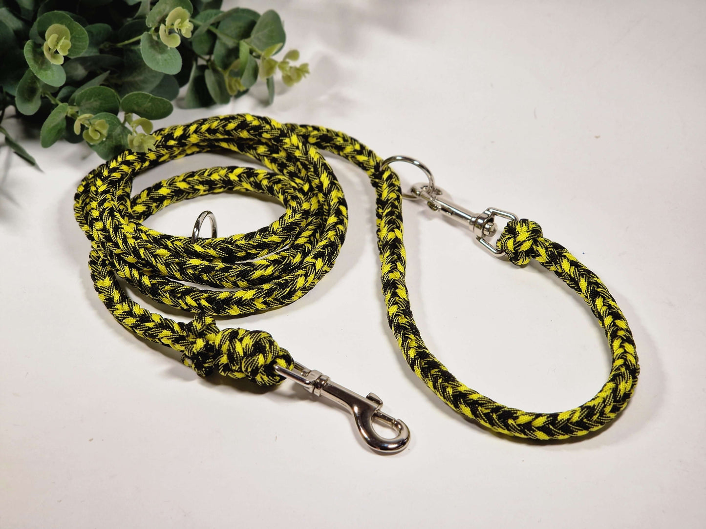 Paracord braided dog leash 2m - bee