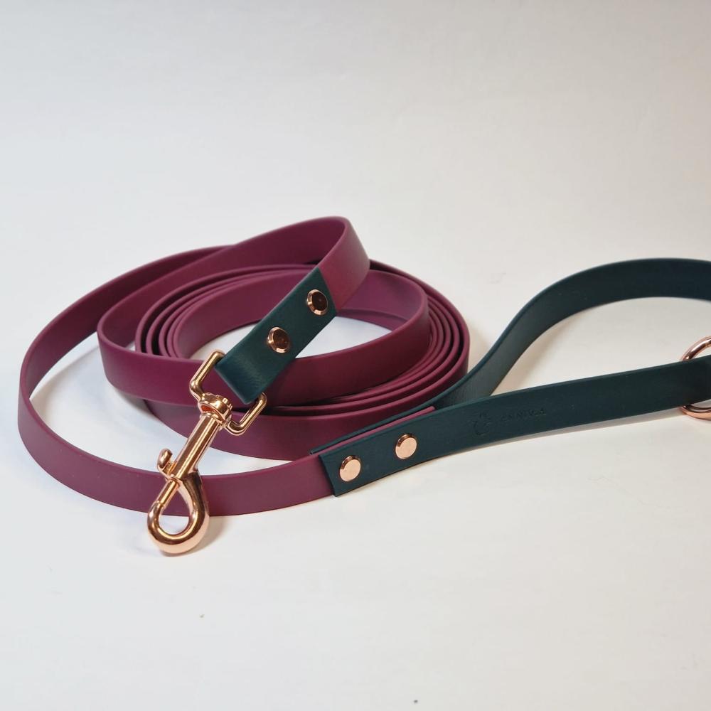 biothane dog leash