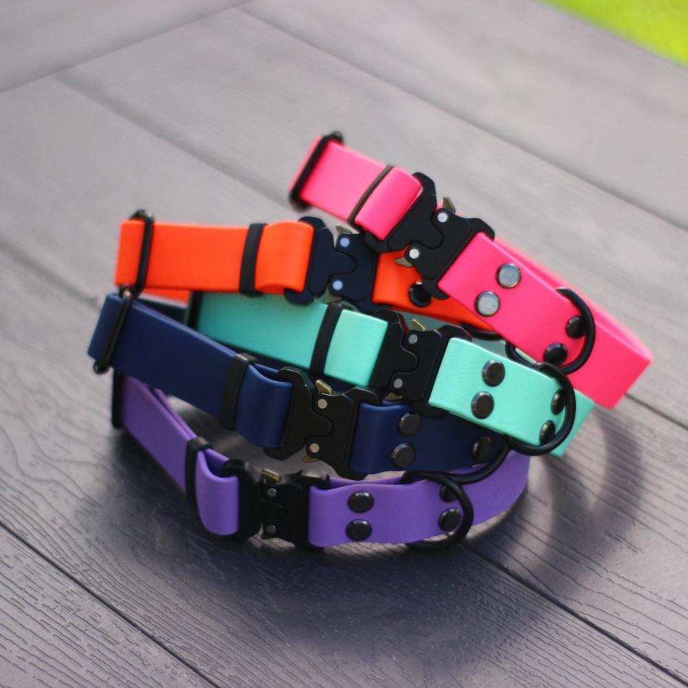 Locking dog collar hotsell