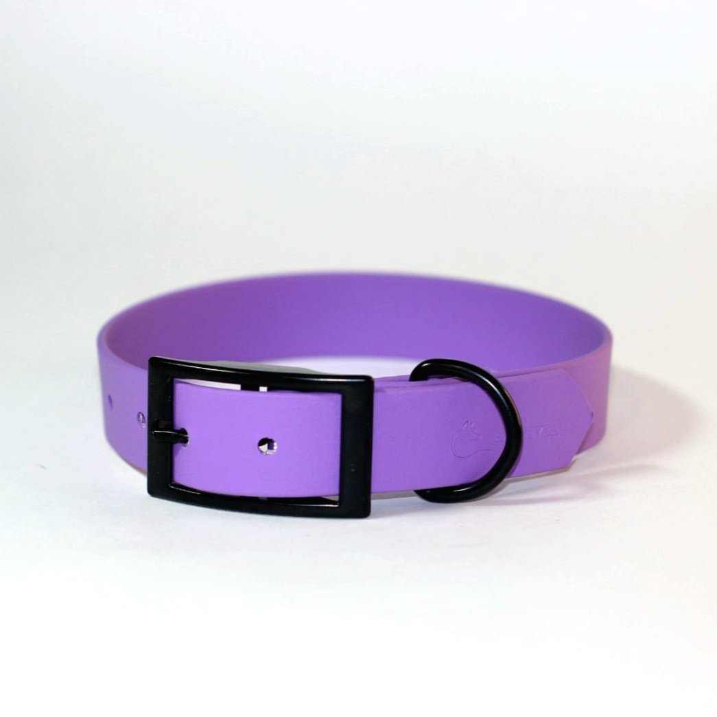 Biothane classic dog collar M (33-43cm)