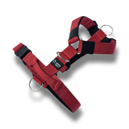 Comfort Line dog Harness - Dark red