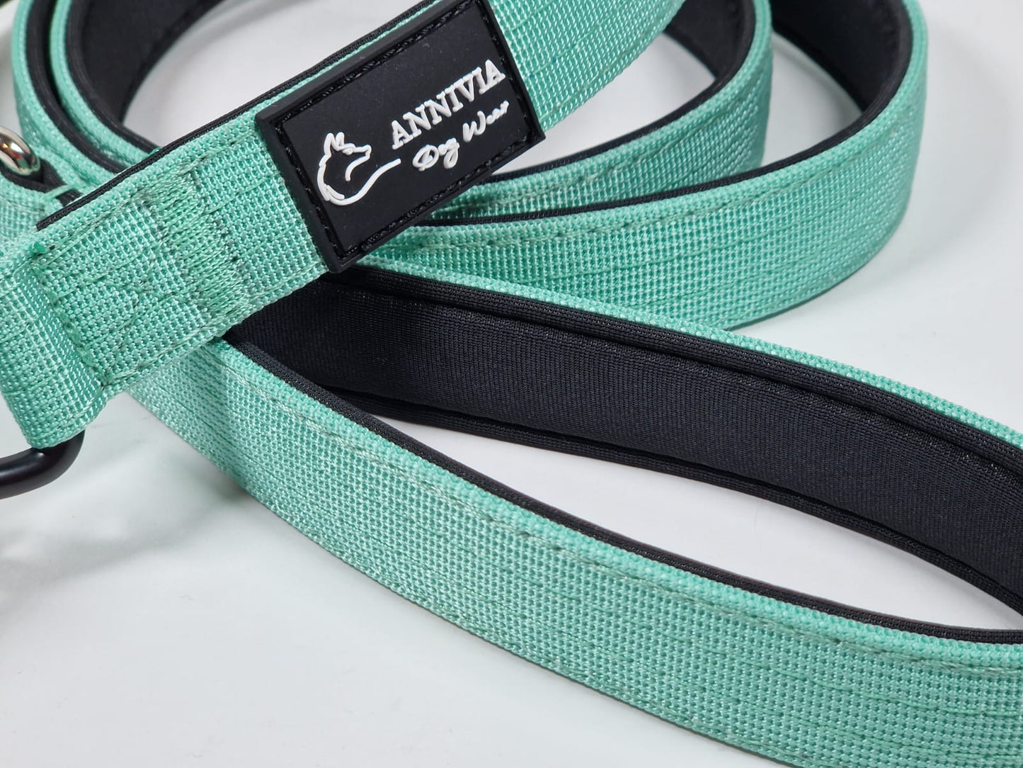 Tactical dog leash - Mint