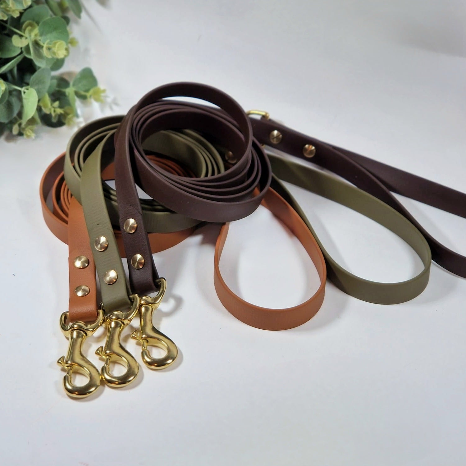 Gold_elegance_pavada_sunim_biothane_leash