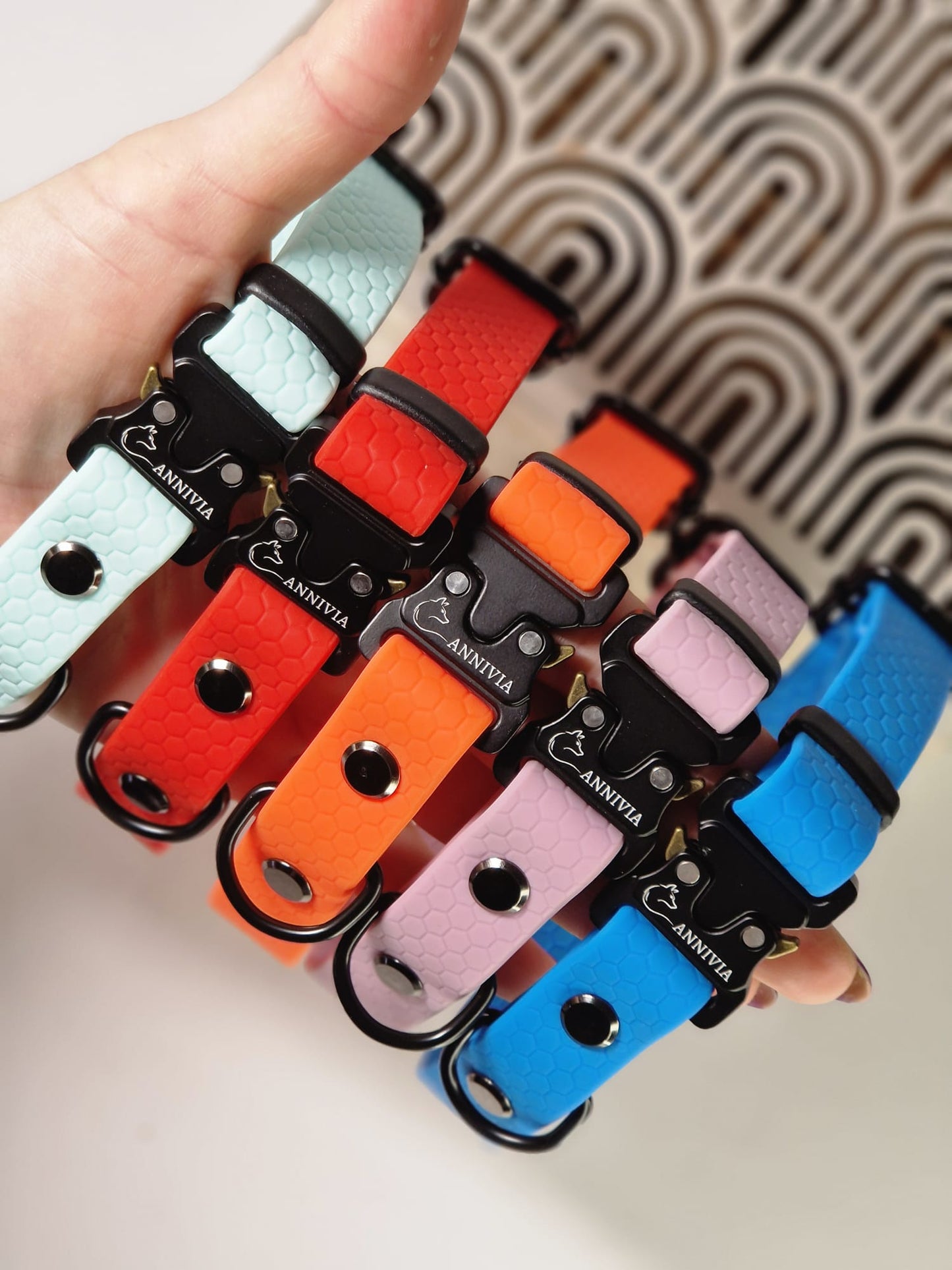 Hexa Coated webbing safe-lock dog collar - Color choice