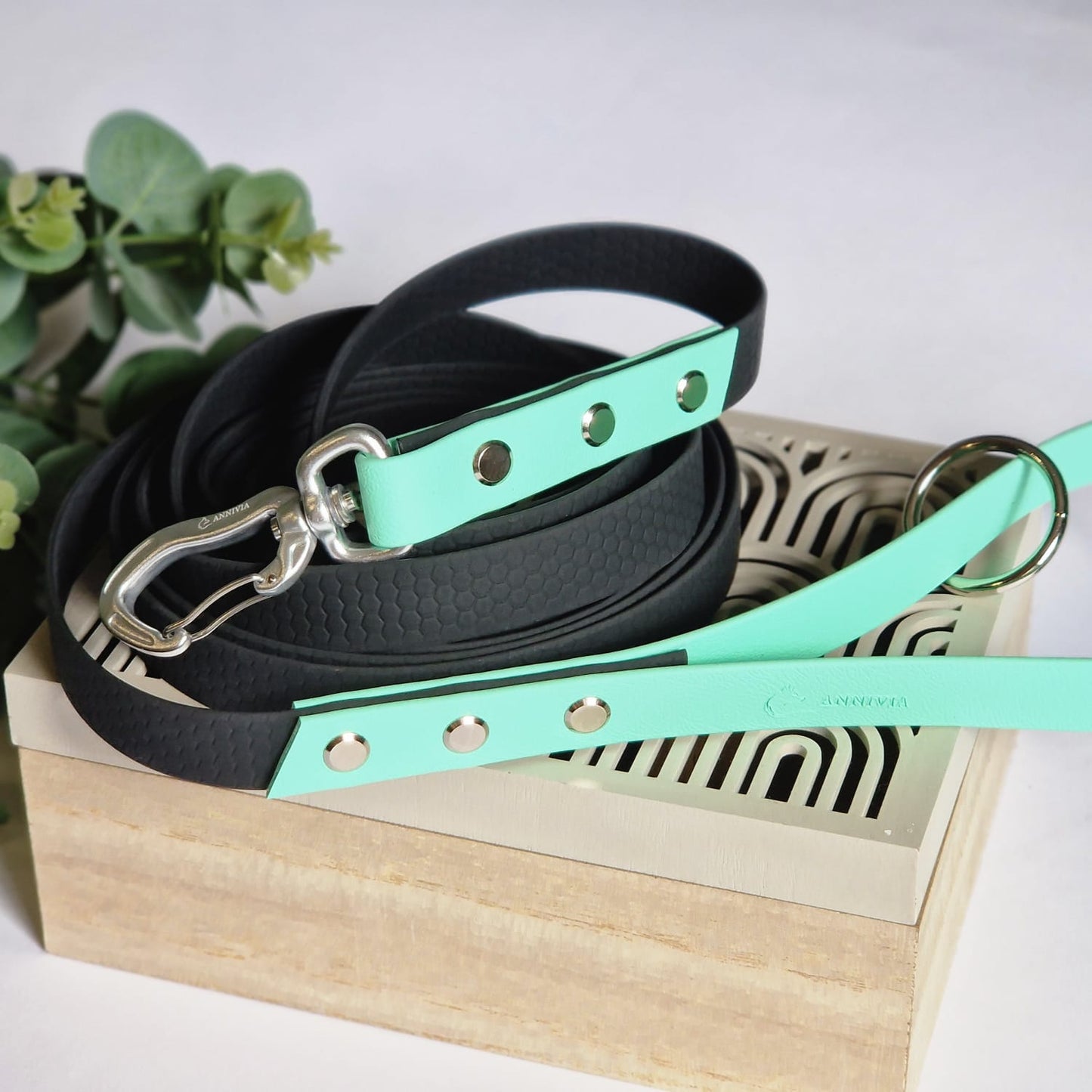 Hexa with Biothane dog leash  - Color choice - Make your own