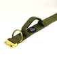 Tactical dog collar Army Green & Gold (4 cm)