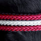 "Novi" paracord dog collar - Latvia