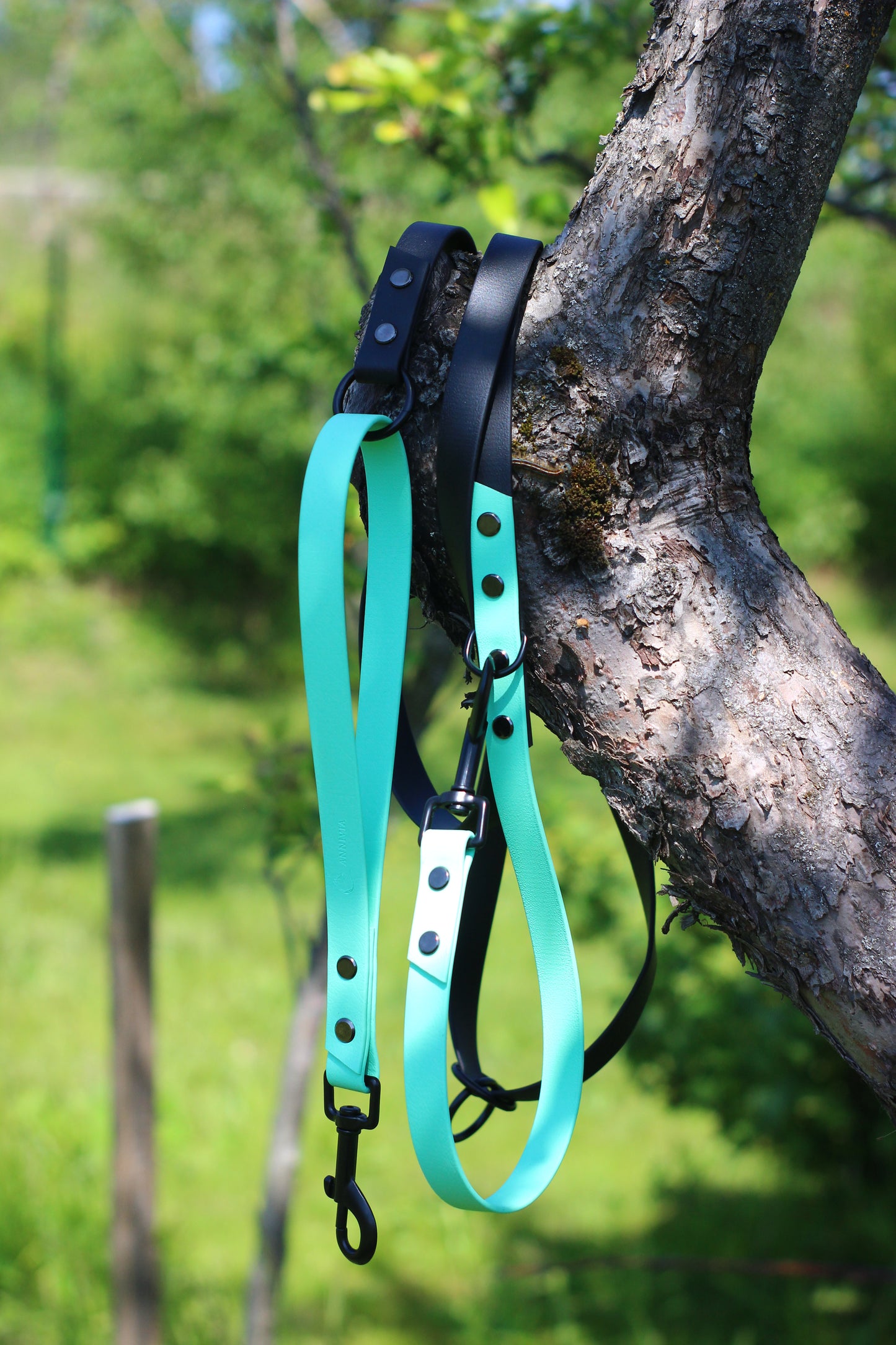 Caribbean Green and Black Biothane Multifunctional Dog Leash with Black Carabiners hanging from a tree branch in a serene park setting.