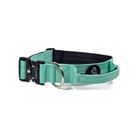 Tactical dog collar Mint & Black (4 cm)