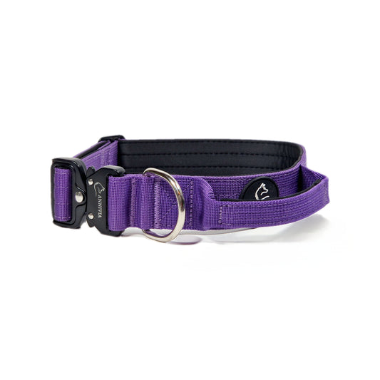 Tactical dog collar Purple & Black (4 cm)