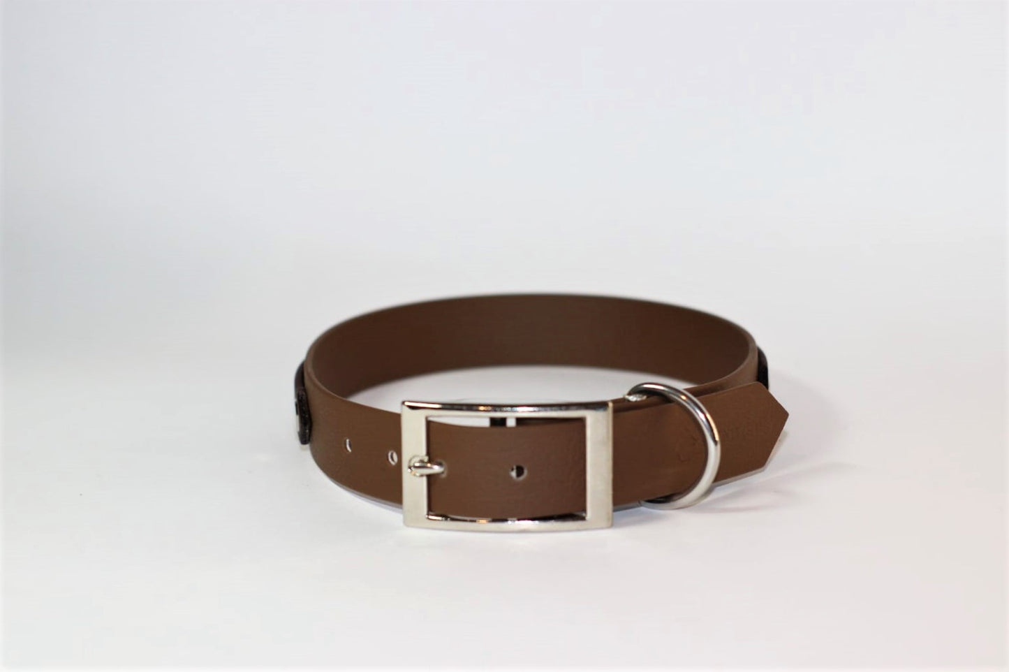 Coated webbing dog collar - Dark Brown