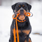 Biothane Duo dog leash  - Color choice