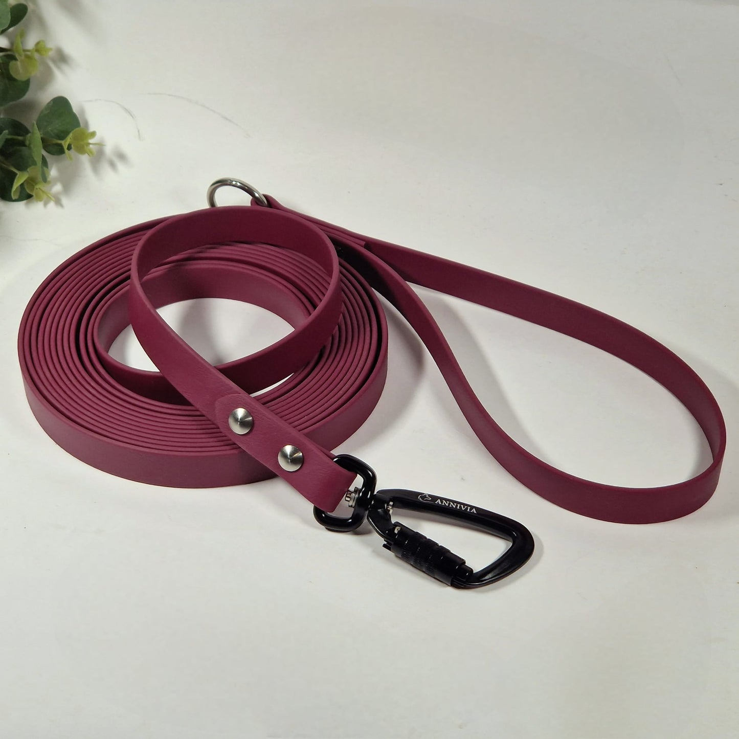 Biothane Safe lock dog leash  - Color choice