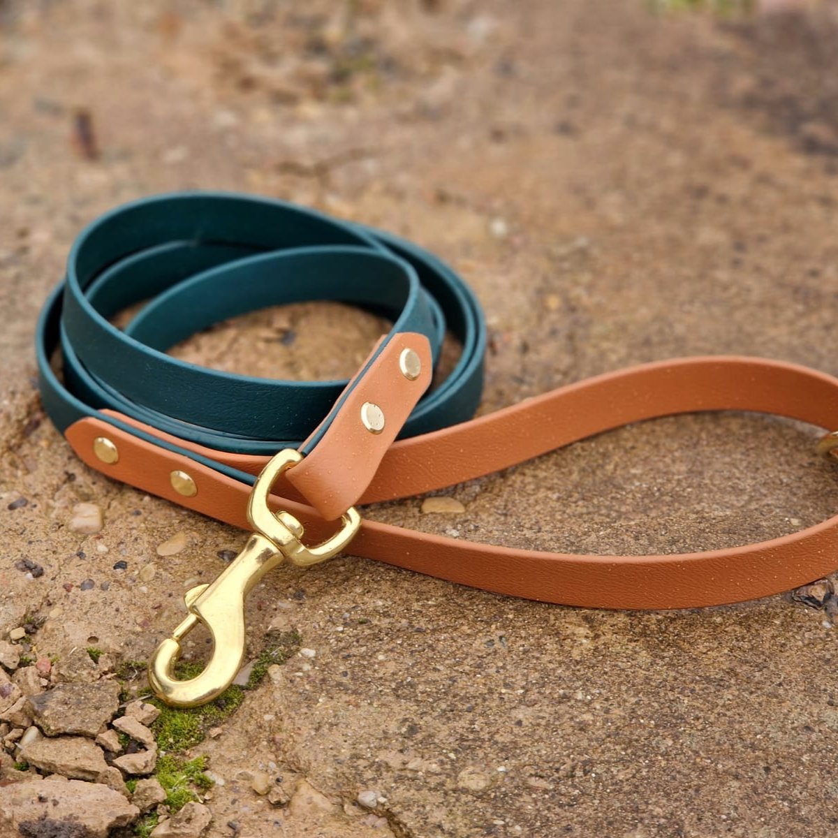 Duo dog lead best sale