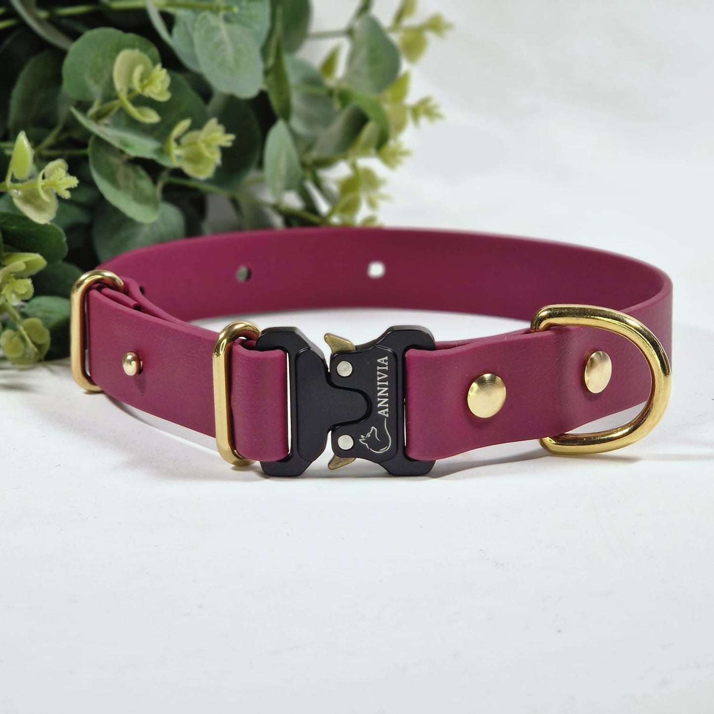 Biothane Gold Elegance dog collar - Color choice