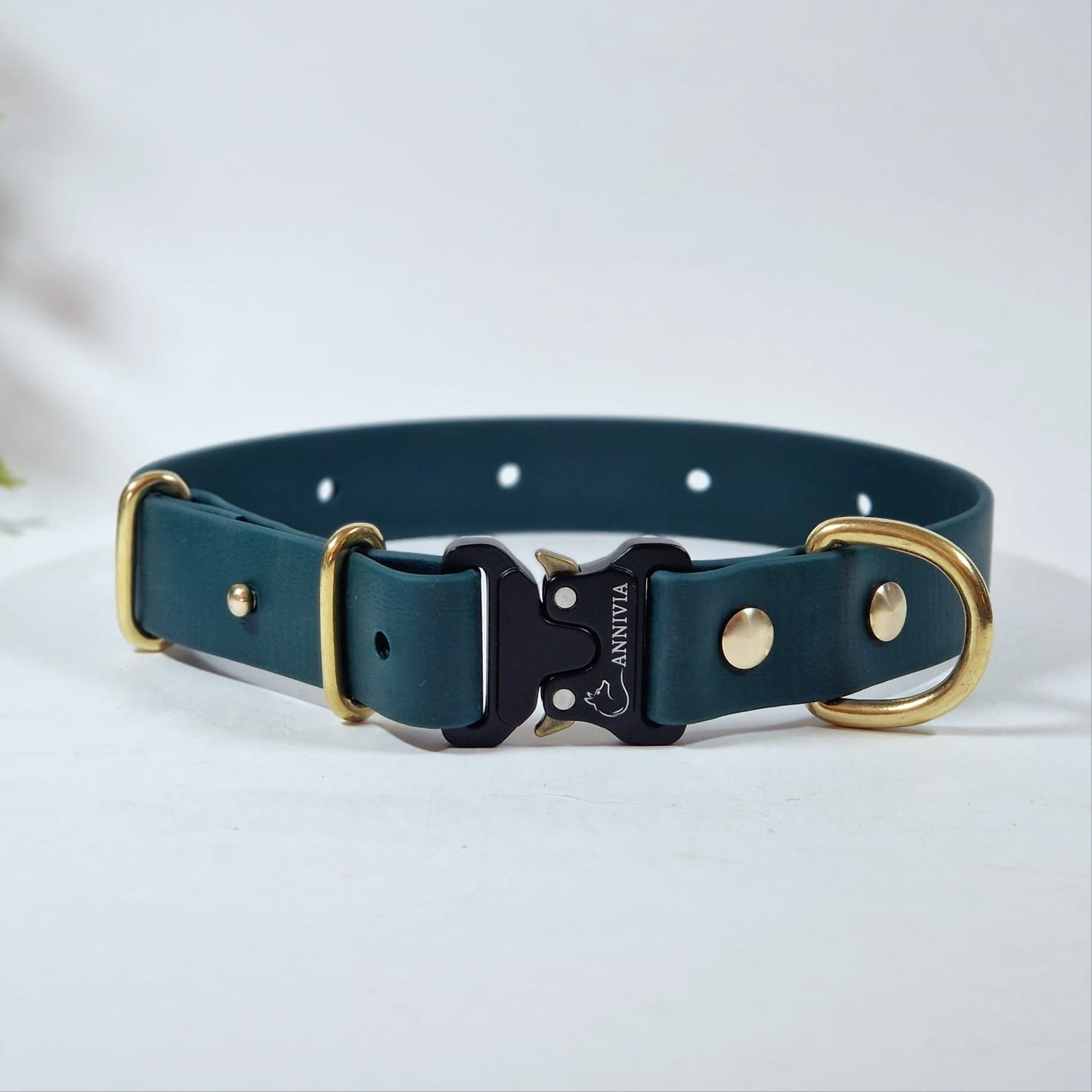 Biothane Gold Elegance dog collar - Color choice