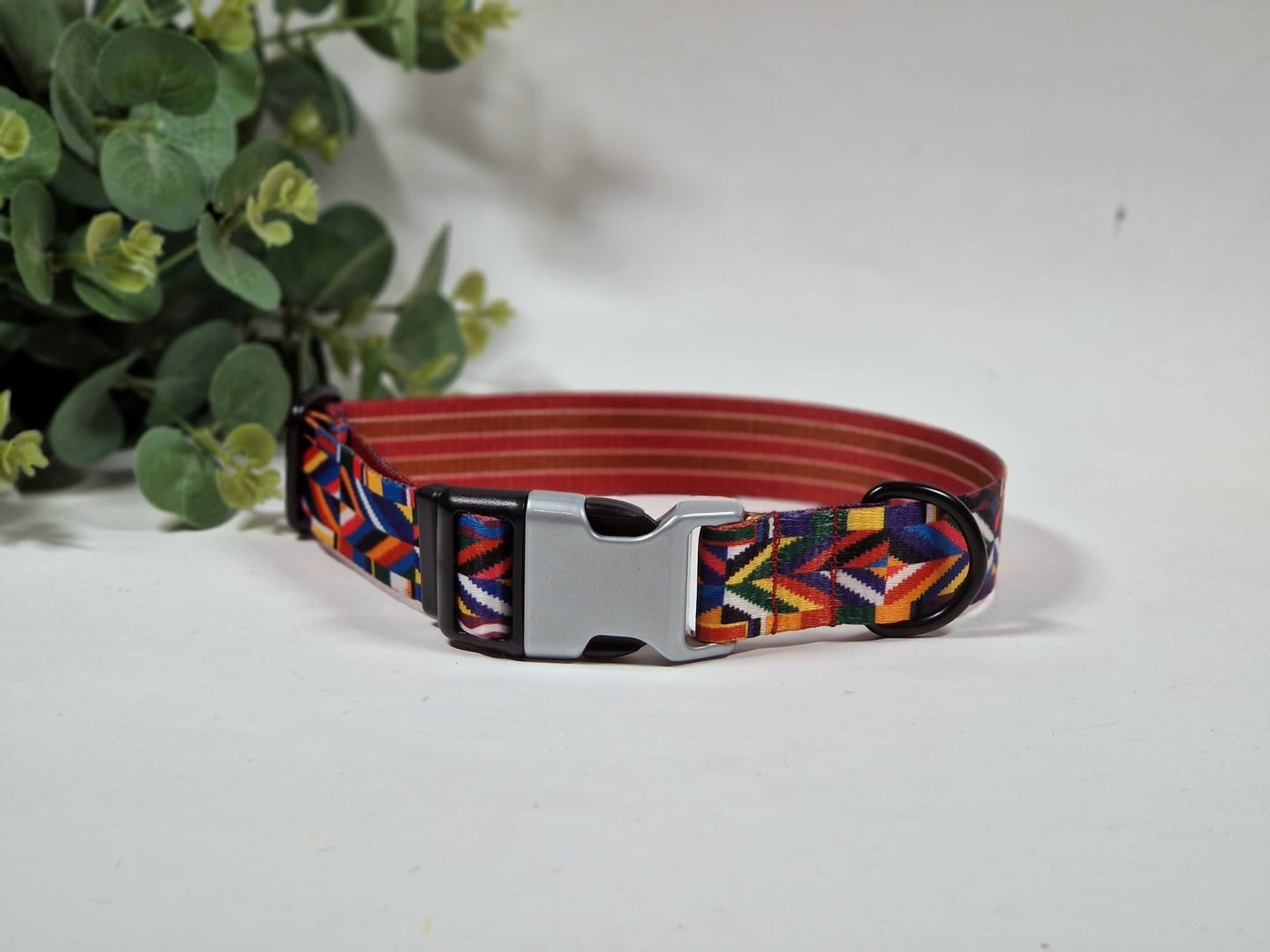 Light Dog collar (M 30-48 cm) - Rainbow