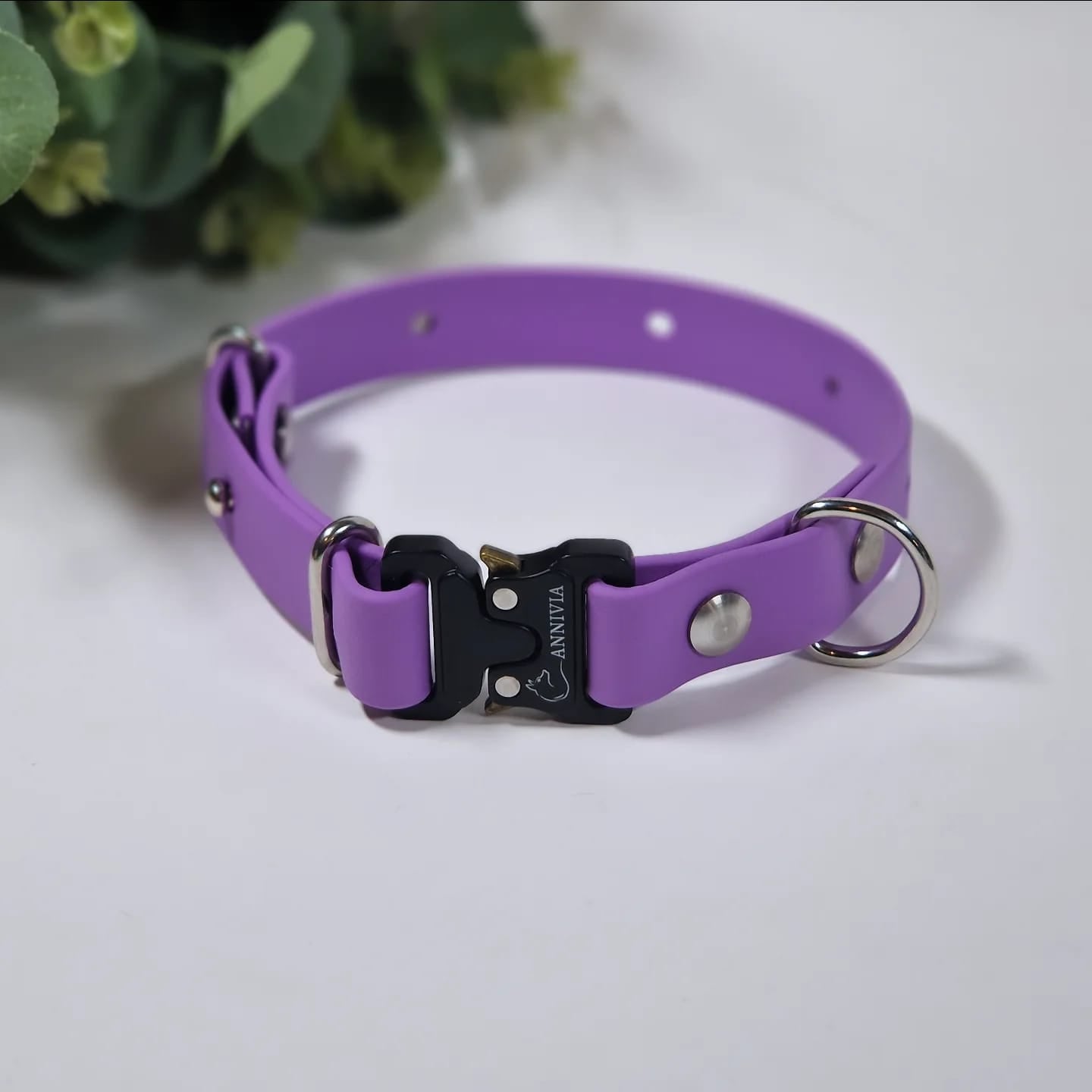 mini_elegance_dog_collar_biothane_purple_76caa27b