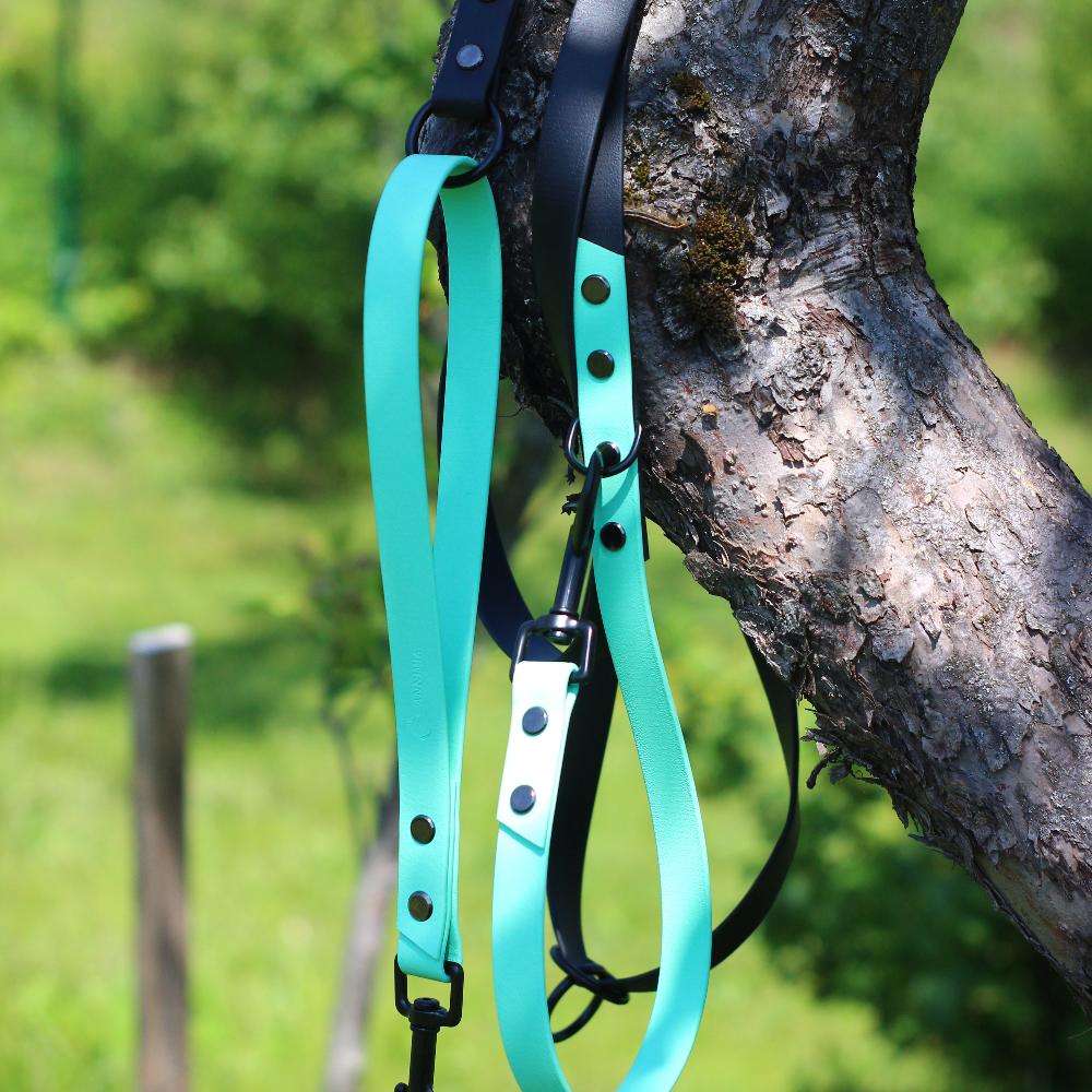 Caribbean Green and Black Biothane Multifunctional Dog Leash with Black Carabiners hanging from a tree branch in a serene park setting.