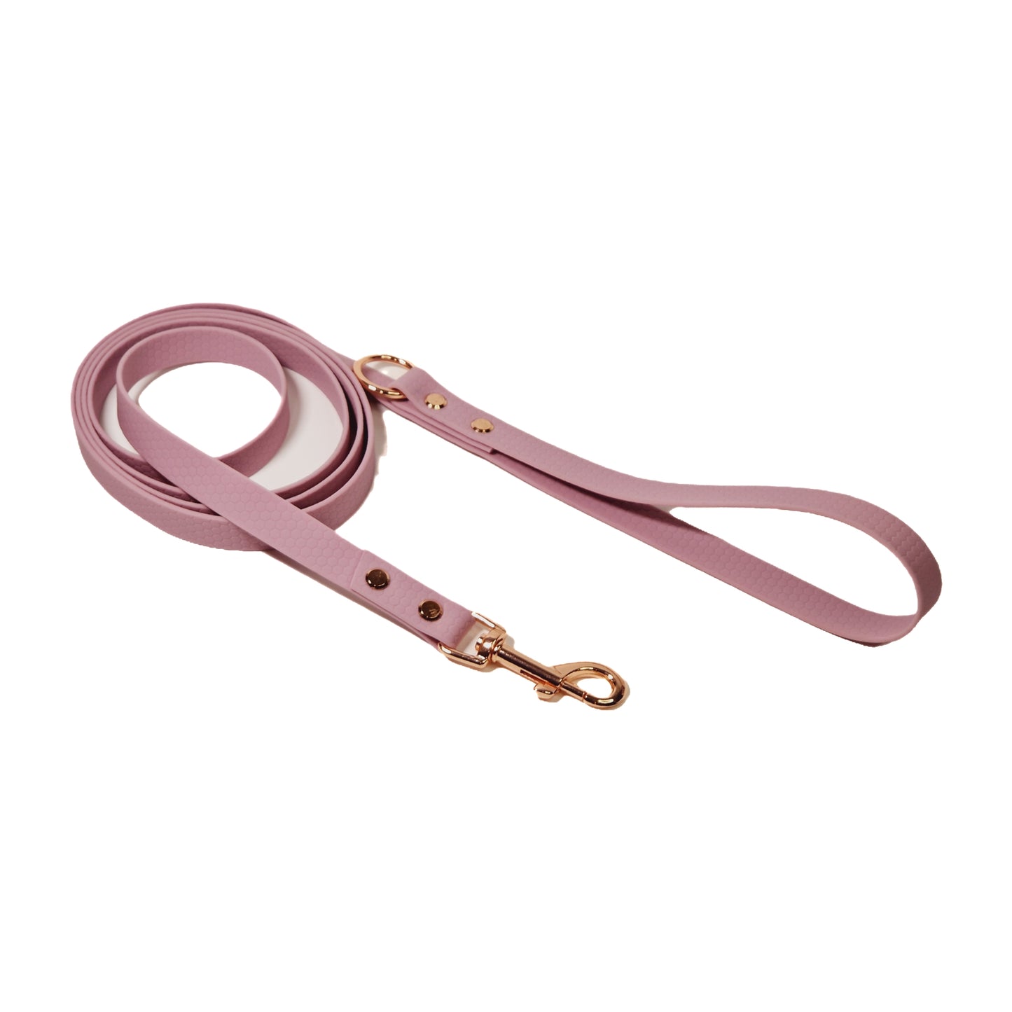 Hexa Coated webbing dog leash - Color choice