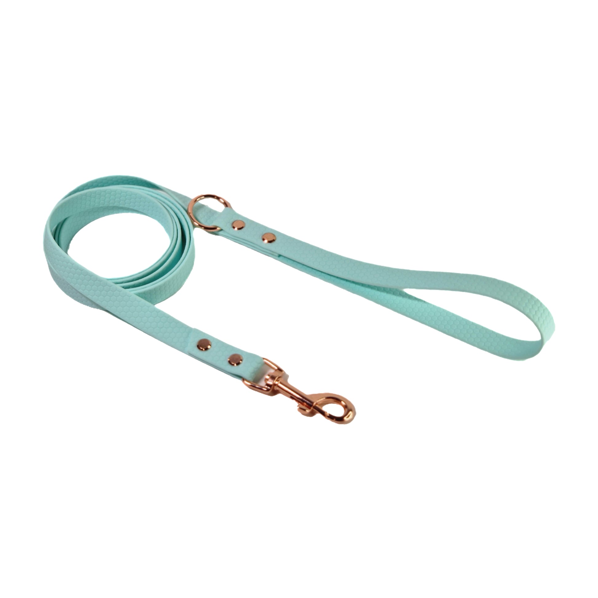 Hexa Coated webbing dog leash - Color choice – Annivia Dog Wear