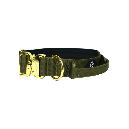 Tactical dog collar Army Green & Gold (4 cm)