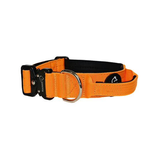 Tactical dog collar Orange (4 cm)