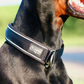 Ultra Soft Padded & Reflective Slip On Dog Collar (4cm)