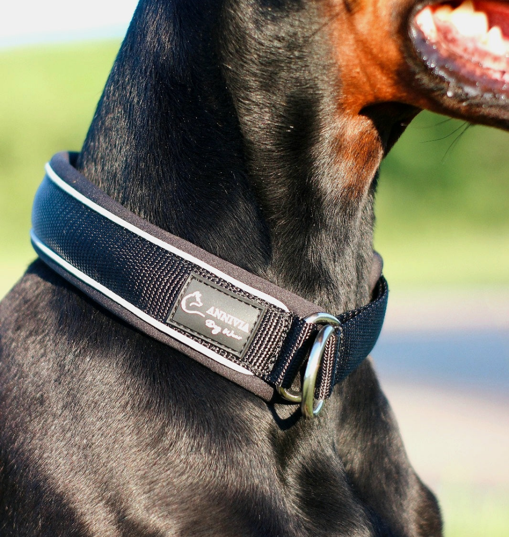 Ultra Soft Padded & Reflective Slip On Dog Collar (4cm)