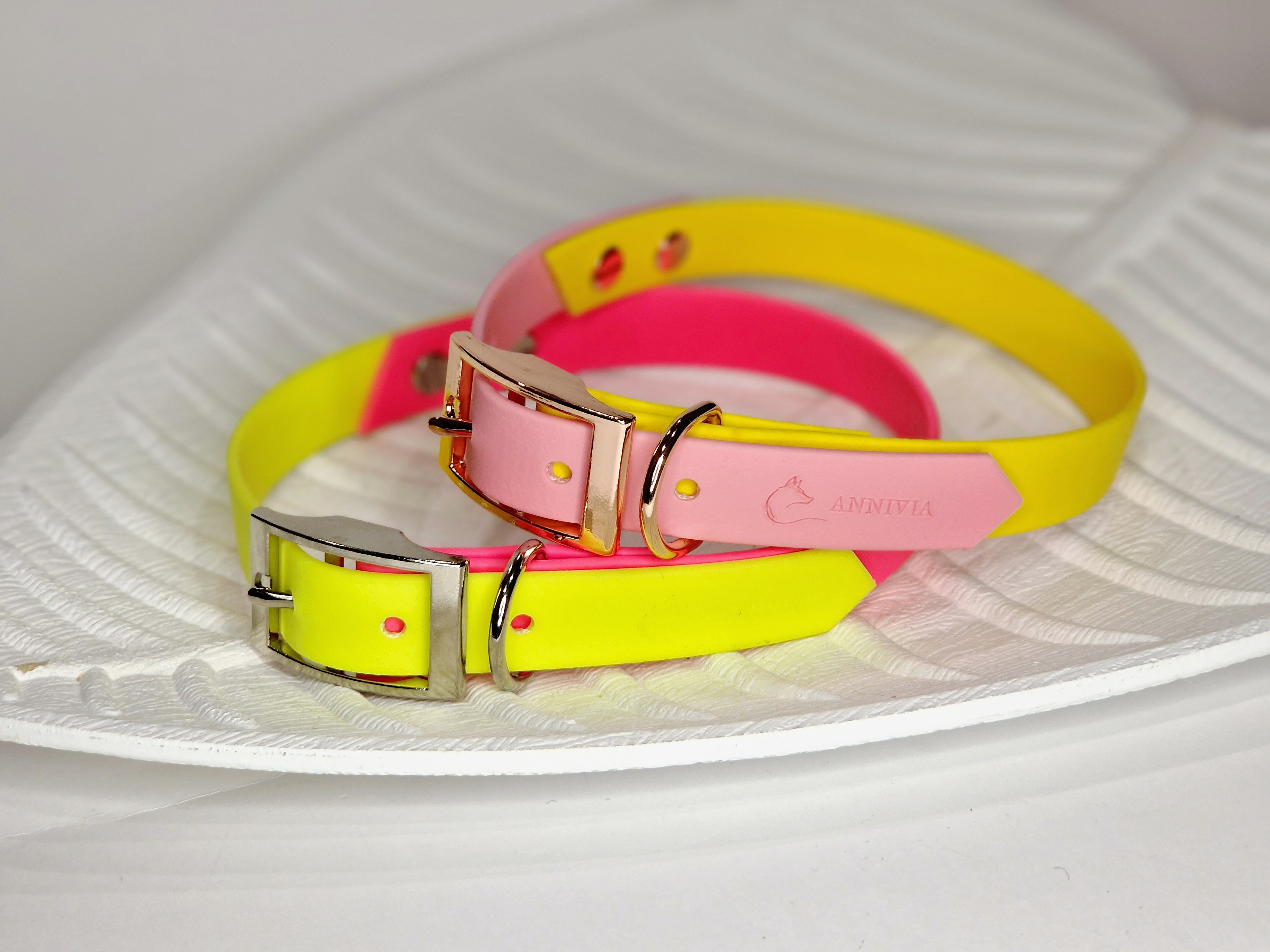 Pastel yellow dog outlet collar