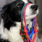 Suņa ID kaklasiksna - Krāsu izvēle